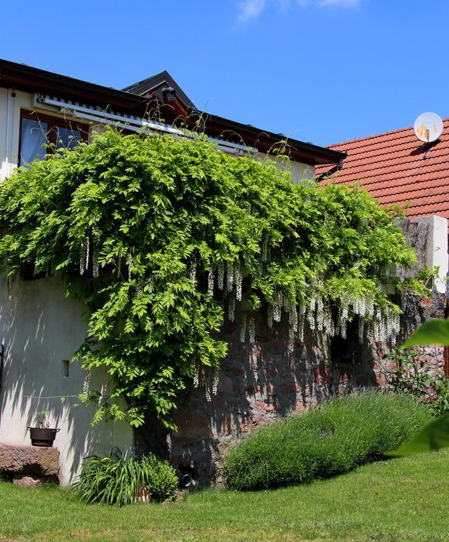 Les 3 Ceps Villa Bergholtz Exterior photo